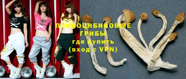 2c-b Куйбышев