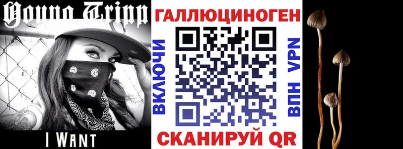 как найти   Старая Купавна  Псилоцибиновые грибы Cubensis 