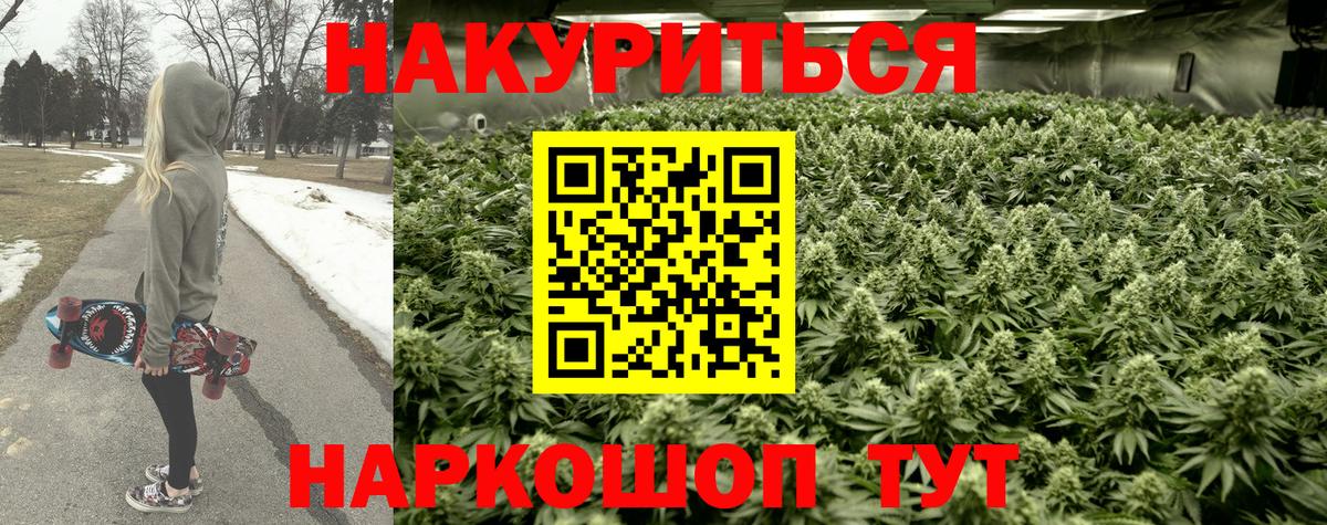 Каннабис OG Kush Старая Купавна